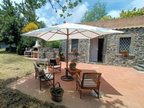 Dimora dei 100 Cavalli - Terrace & panoramic view